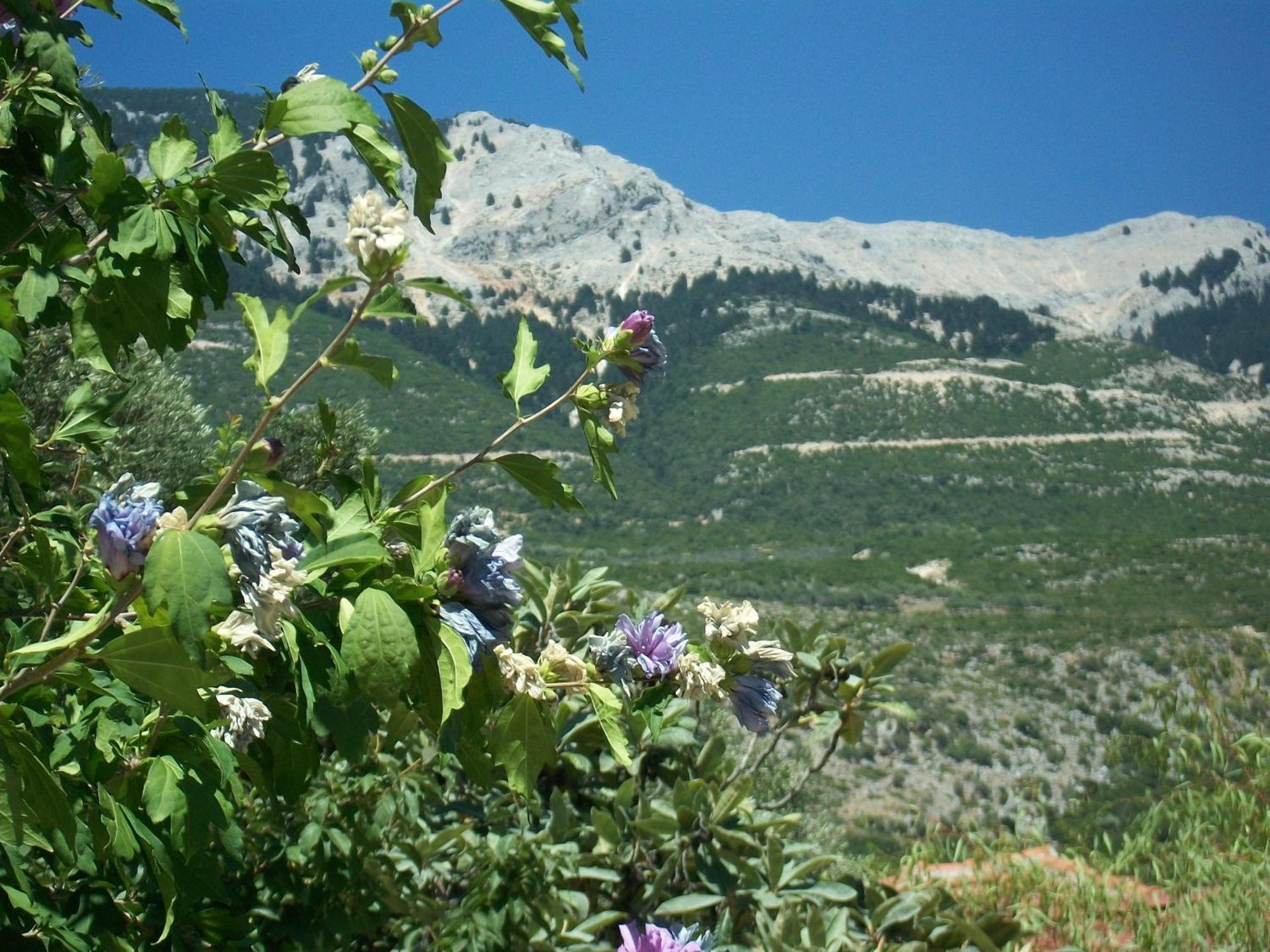 Ramona Daire Lourdata  Dış mekan fotoğraf