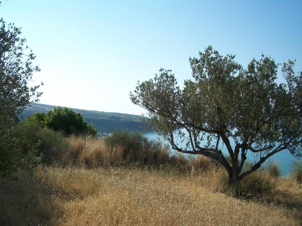 Ramona Daire Lourdata  Dış mekan fotoğraf